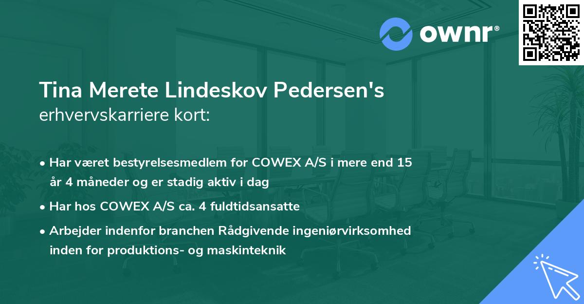 Tina Merete Lindeskov Pedersen's erhvervskarriere kort