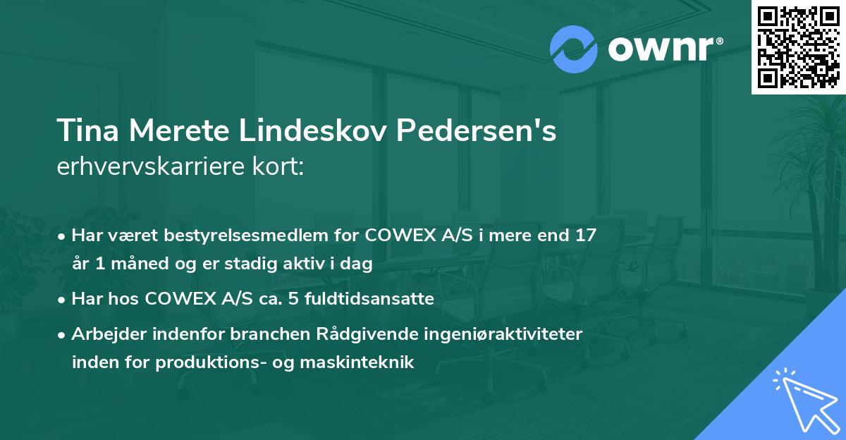 Tina Merete Lindeskov Pedersen's erhvervskarriere kort