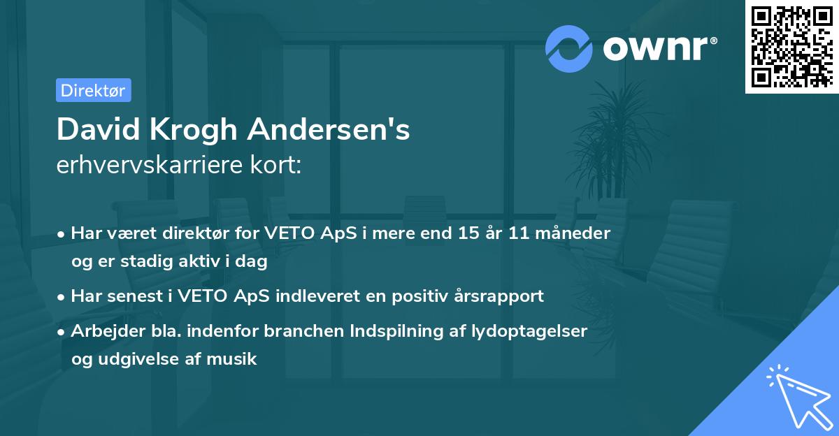 David Krogh Andersen's erhvervskarriere kort