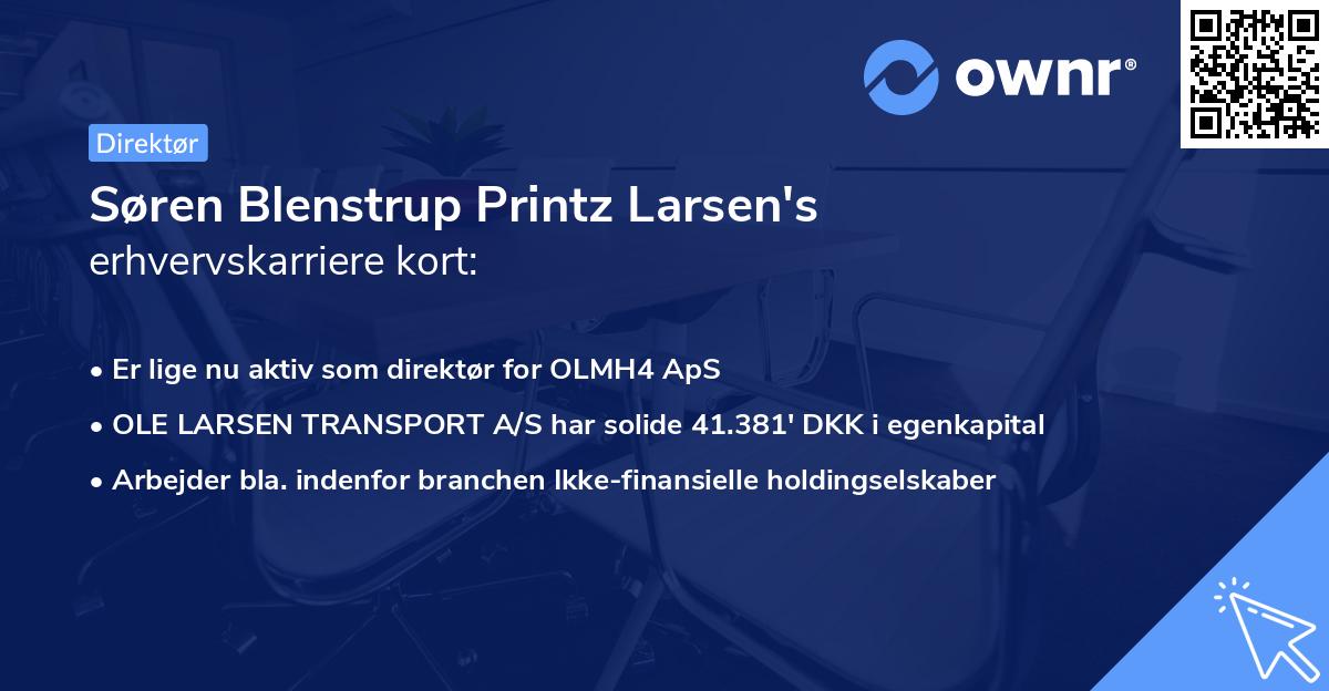 Søren Blenstrup Printz Larsen's erhvervskarriere kort