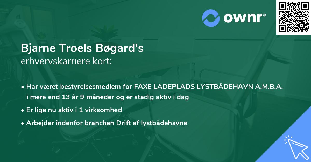 Bjarne Troels Bøgard's erhvervskarriere kort