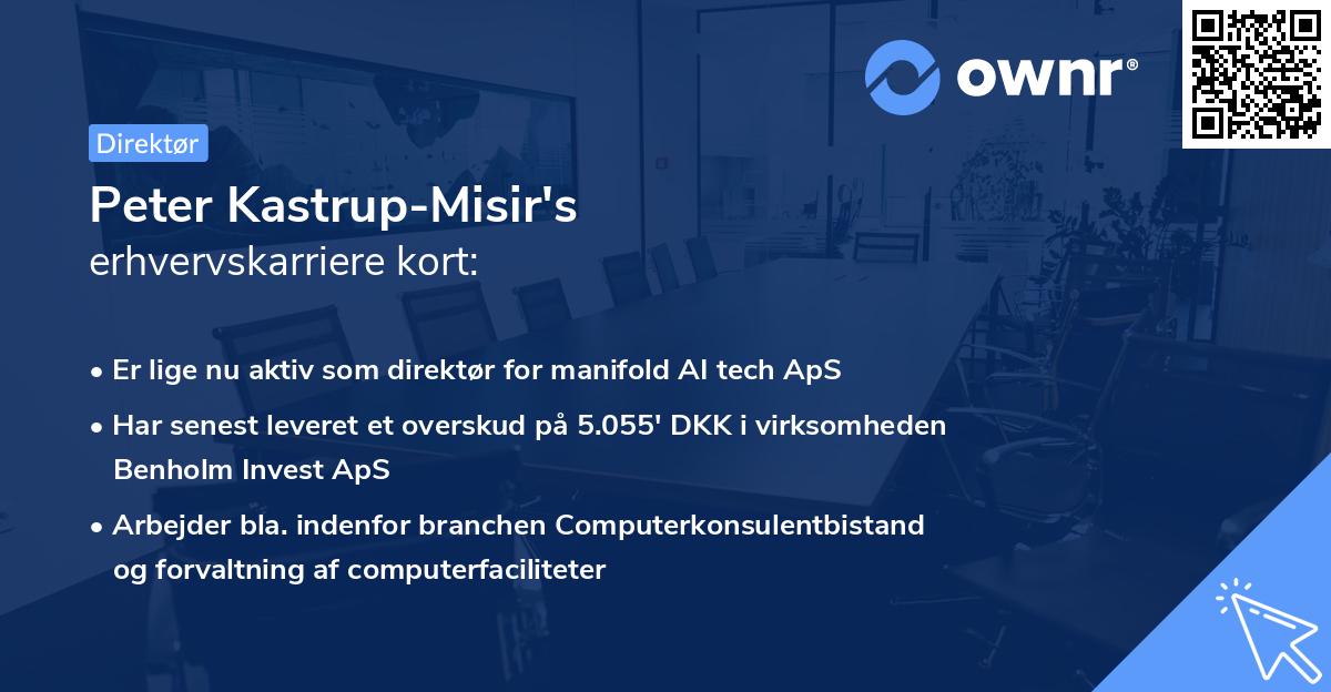 Peter Kastrup-Misir's erhvervskarriere kort