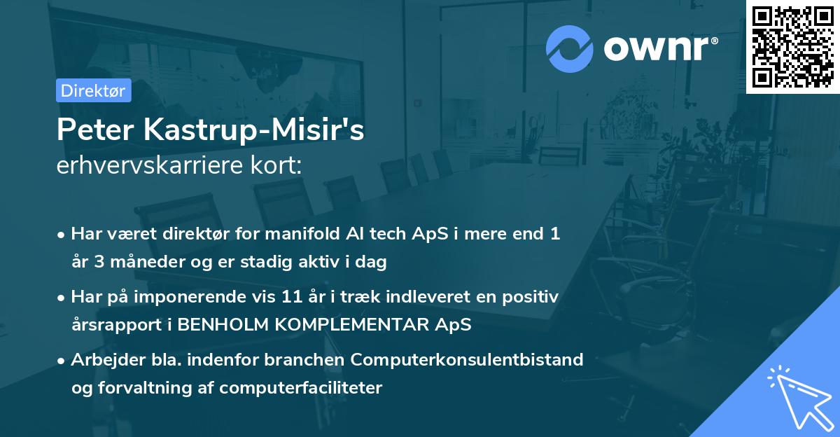 Peter Kastrup-Misir's erhvervskarriere kort