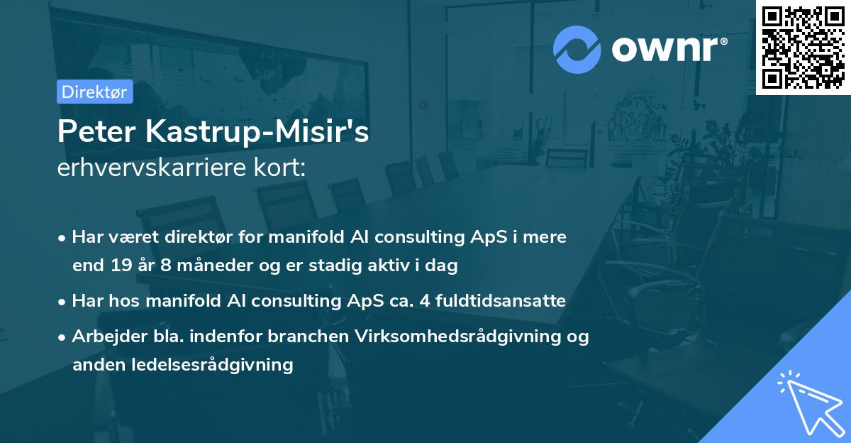 Peter Kastrup-Misir's erhvervskarriere kort