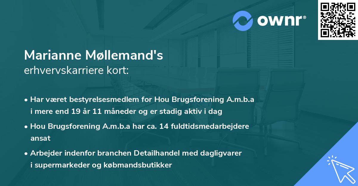 Marianne Møllemand's erhvervskarriere kort