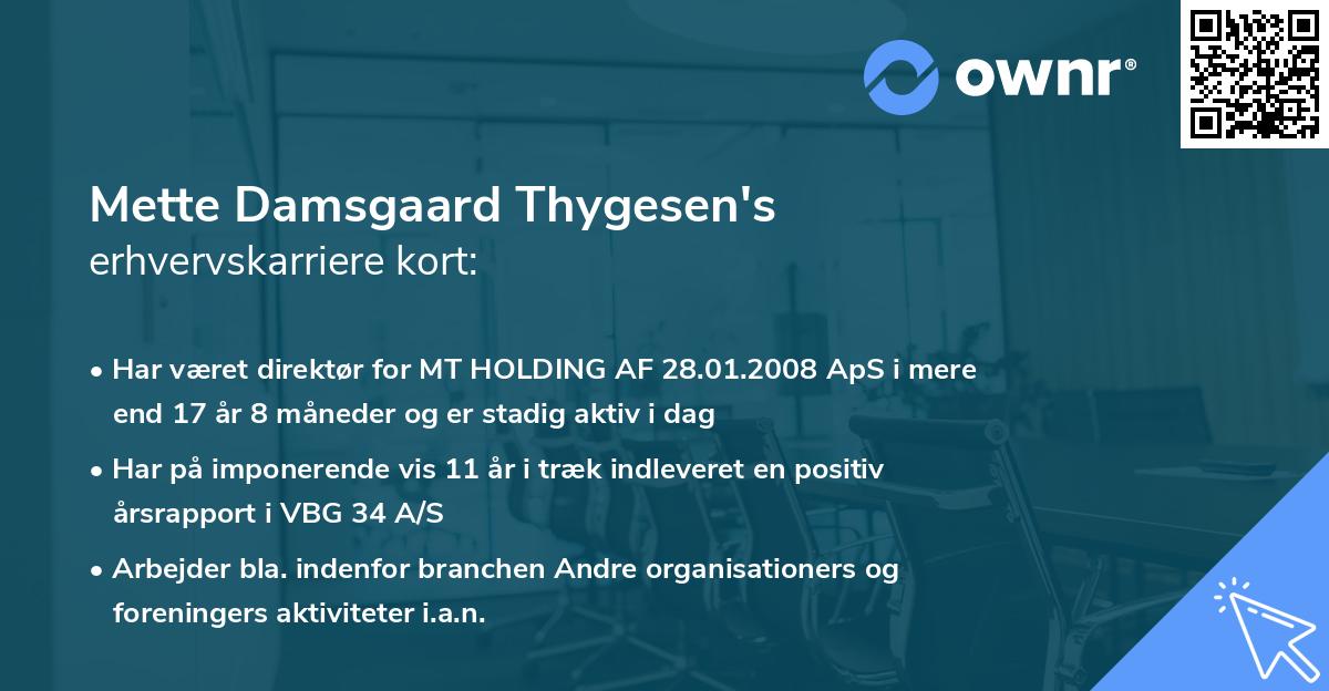Mette Damsgaard Thygesen's erhvervskarriere kort
