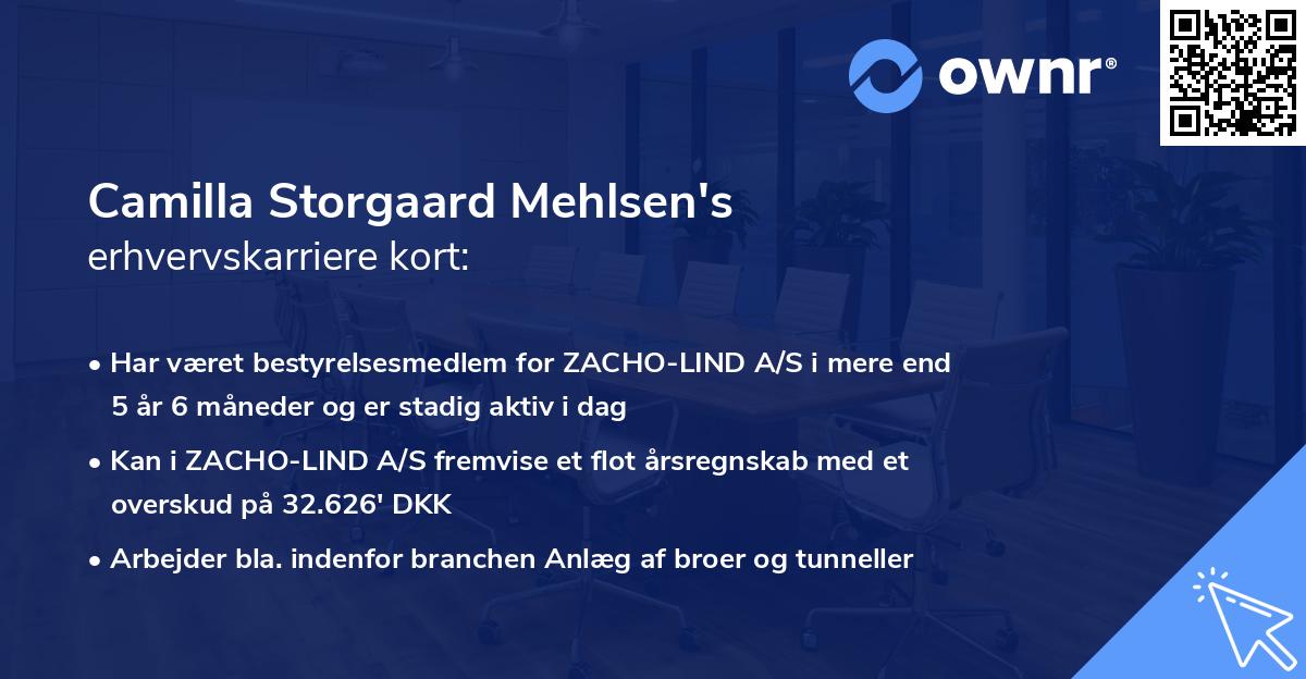 Camilla Storgaard Mehlsen's erhvervskarriere kort