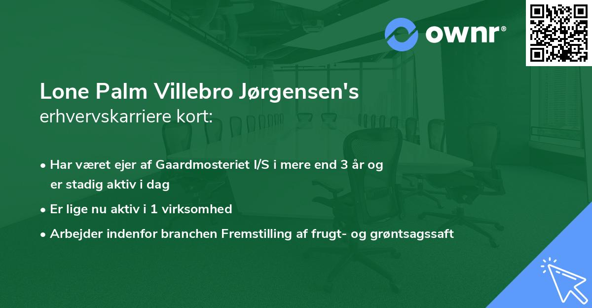 Lone Palm Villebro Jørgensen's erhvervskarriere kort
