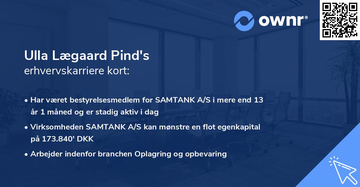 Ulla Lægaard Pind's erhvervskarriere kort