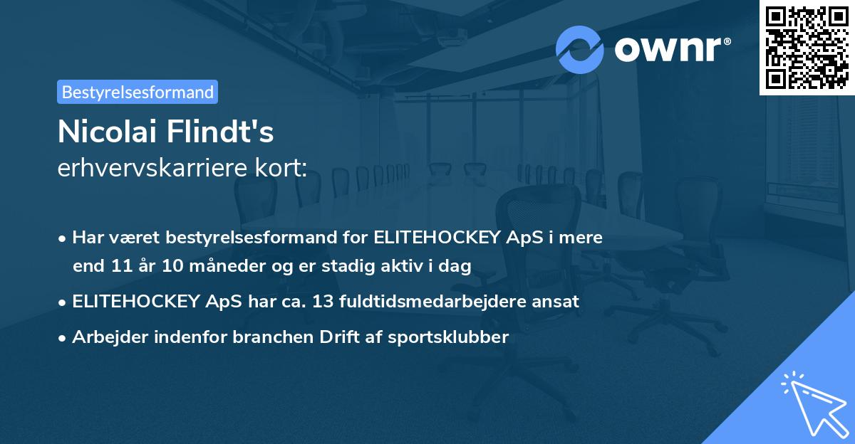 Nicolai Flindt's erhvervskarriere kort