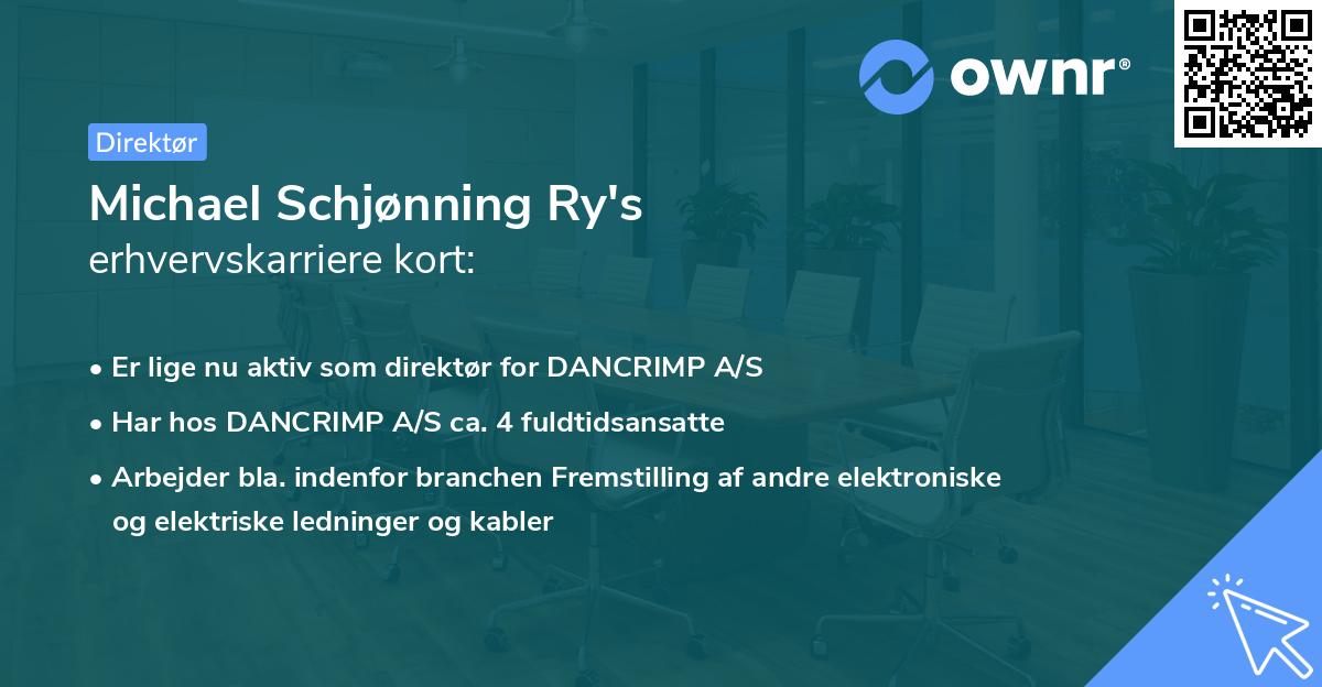 Michael Schjønning Ry's erhvervskarriere kort