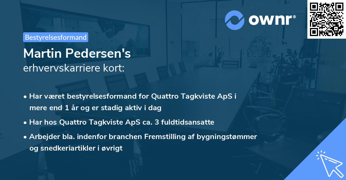 Martin Pedersen's erhvervskarriere kort