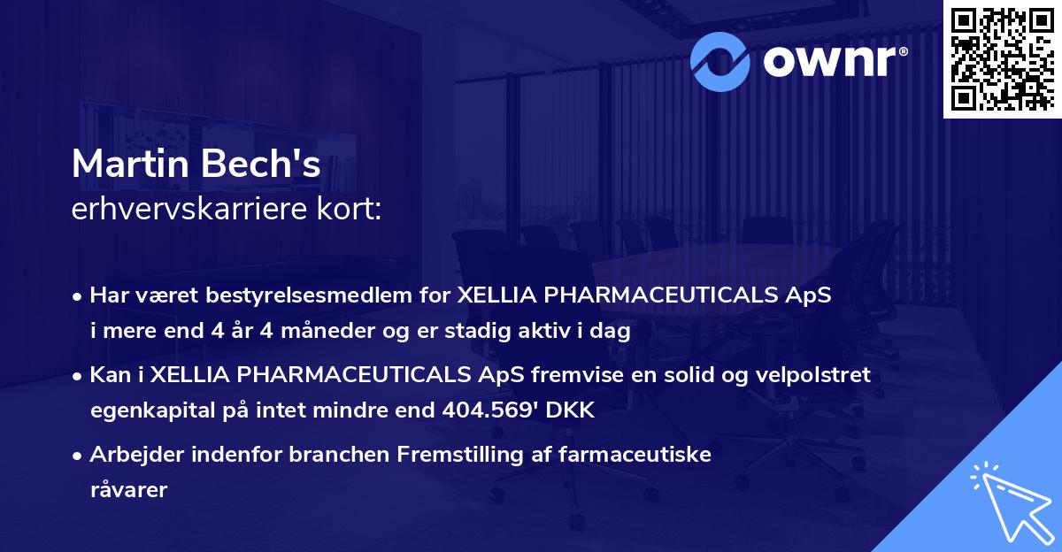 Martin Bech's erhvervskarriere kort