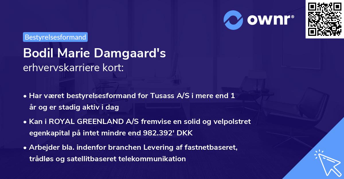 Bodil Marie Damgaard's erhvervskarriere kort