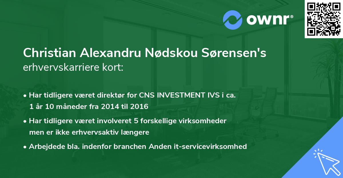 Christian Alexandru Nødskou Sørensen's erhvervskarriere kort