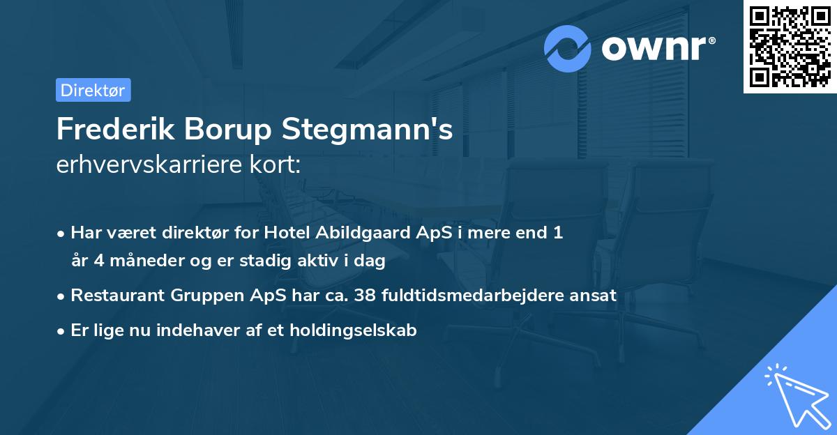 Frederik Borup Stegmann's erhvervskarriere kort