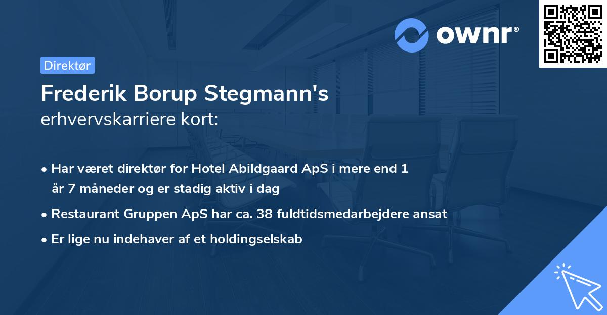 Frederik Borup Stegmann's erhvervskarriere kort