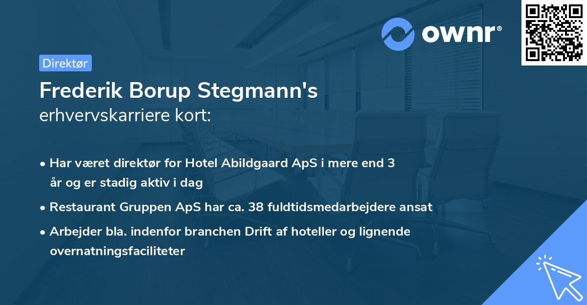 Frederik Borup Stegmann's erhvervskarriere kort