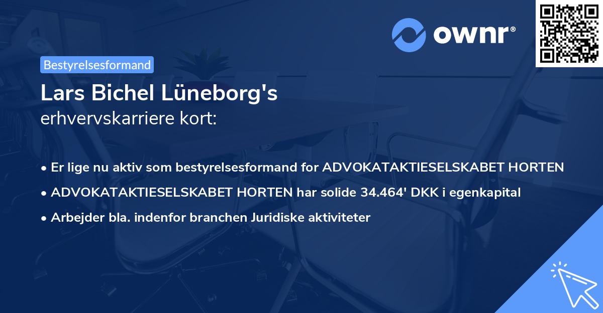 Lars Bichel Lüneborg's erhvervskarriere kort