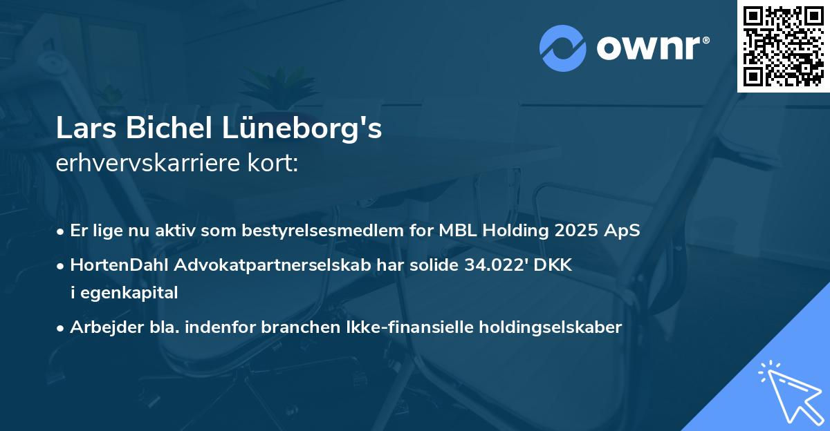 Lars Bichel Lüneborg's erhvervskarriere kort