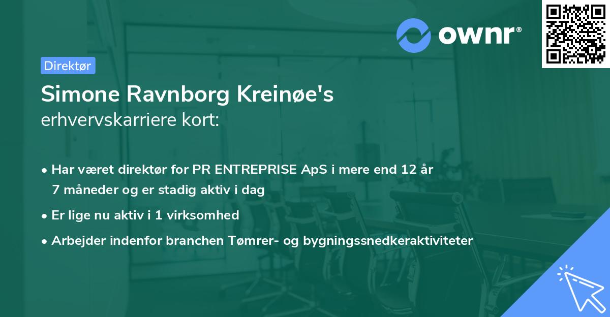 Simone Ravnborg Kreinøe's erhvervskarriere kort