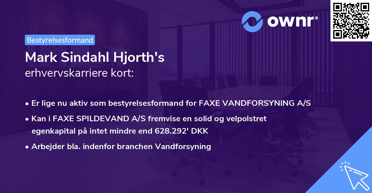 Mark Sindahl Hjorth's erhvervskarriere kort
