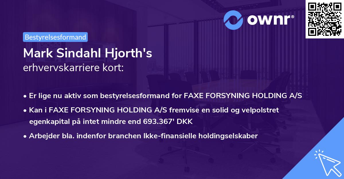 Mark Sindahl Hjorth's erhvervskarriere kort