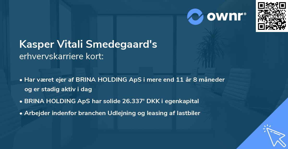 Kasper Vitali Smedegaard's erhvervskarriere kort