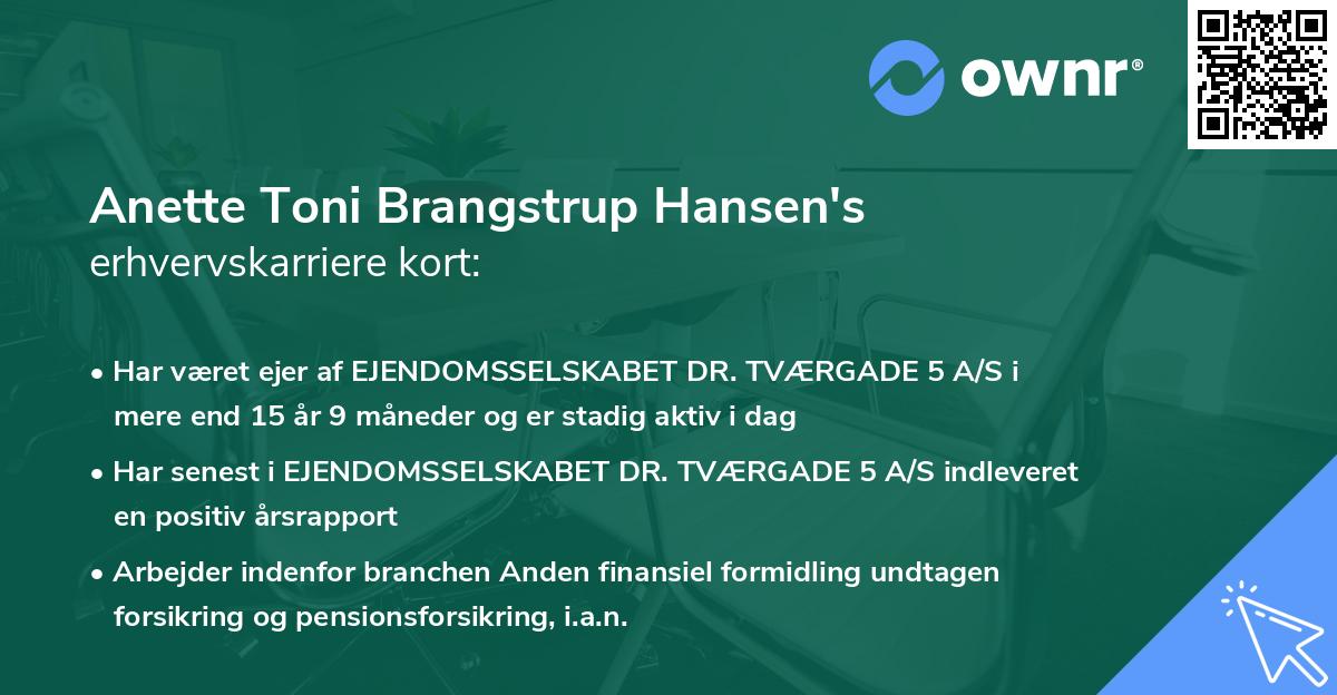 Anette Toni Brangstrup Hansen's erhvervskarriere kort