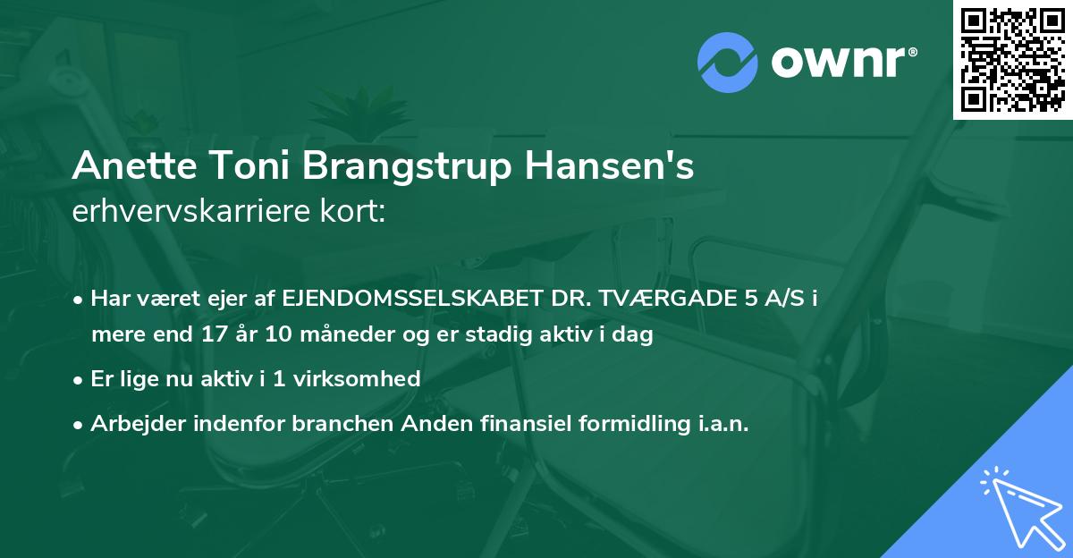Anette Toni Brangstrup Hansen's erhvervskarriere kort