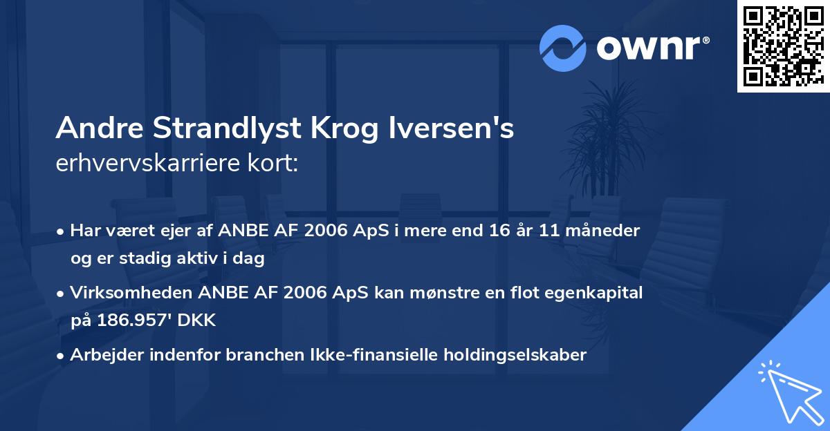 Andre Strandlyst Krog Iversen's erhvervskarriere kort