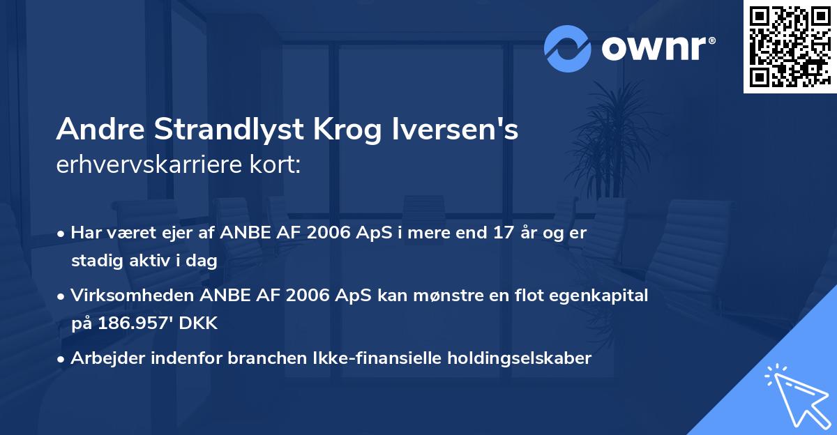 Andre Strandlyst Krog Iversen's erhvervskarriere kort