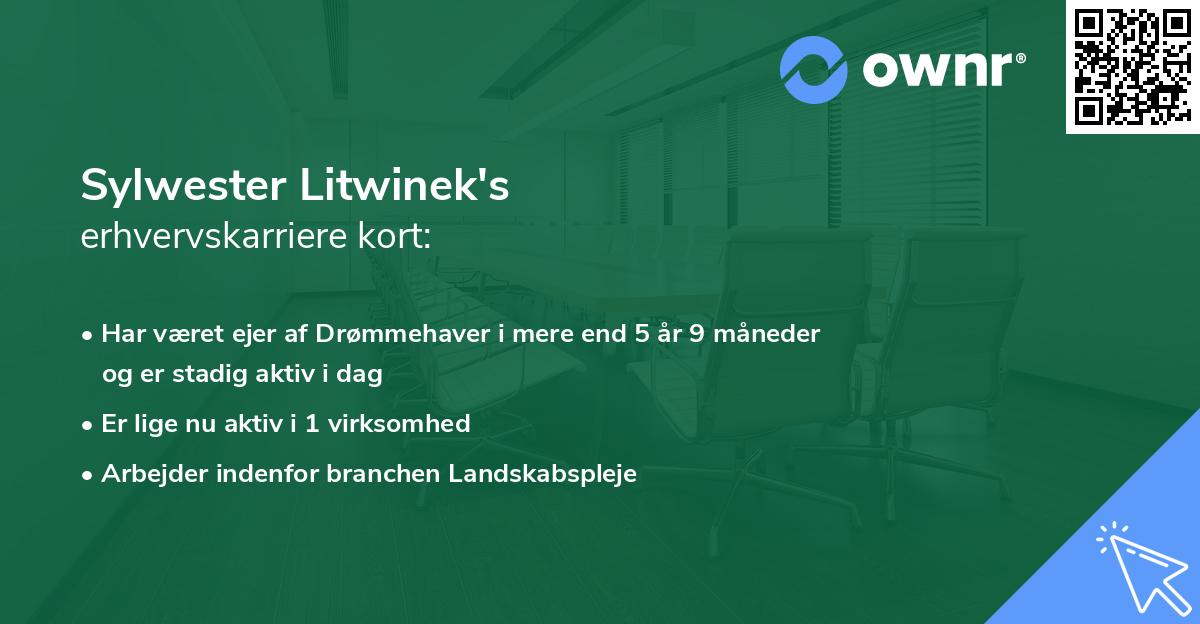 Sylwester Litwinek's erhvervskarriere kort