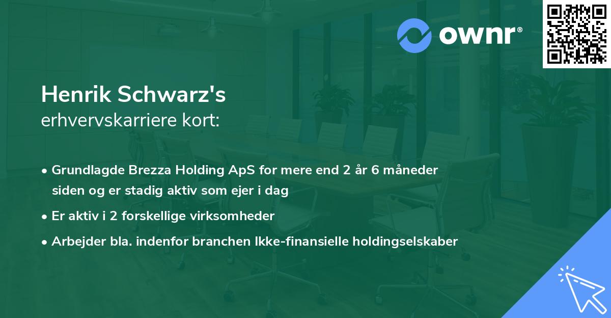 Henrik Schwarz's erhvervskarriere kort