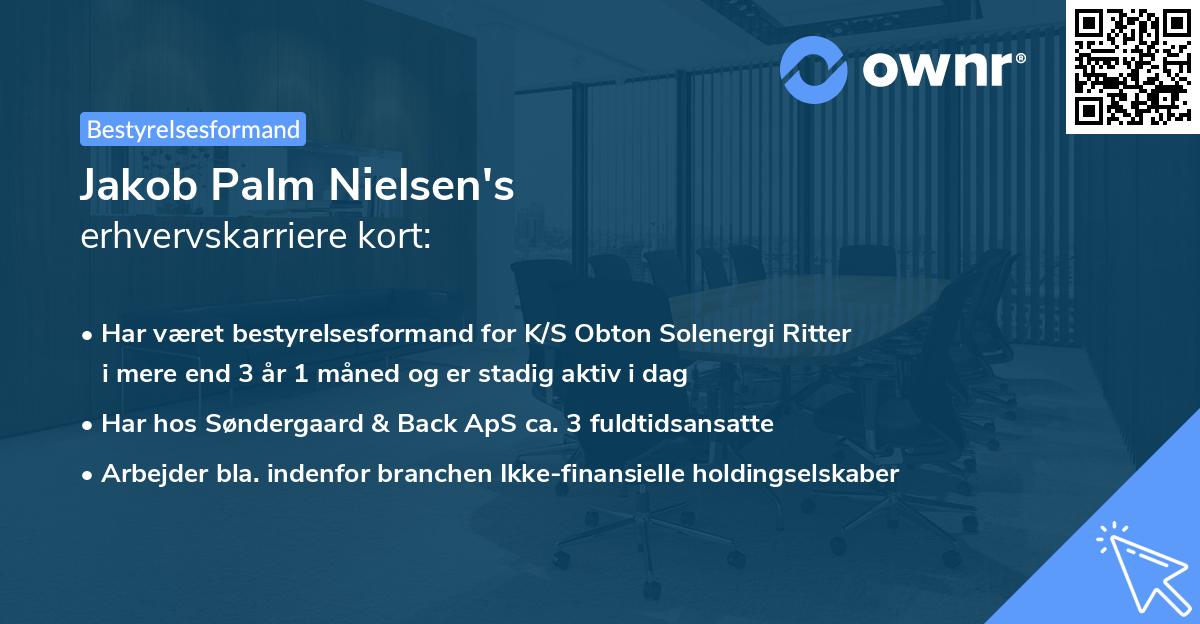 Jakob Palm Nielsen's erhvervskarriere kort