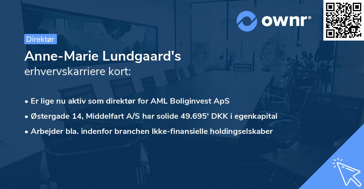 Anne-Marie Lundgaard's erhvervskarriere kort