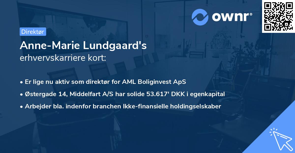 Anne-Marie Lundgaard's erhvervskarriere kort