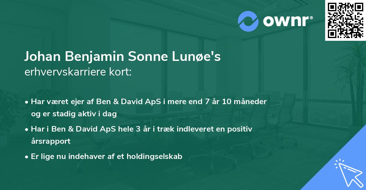 Johan Benjamin Sonne Lunøe's erhvervskarriere kort