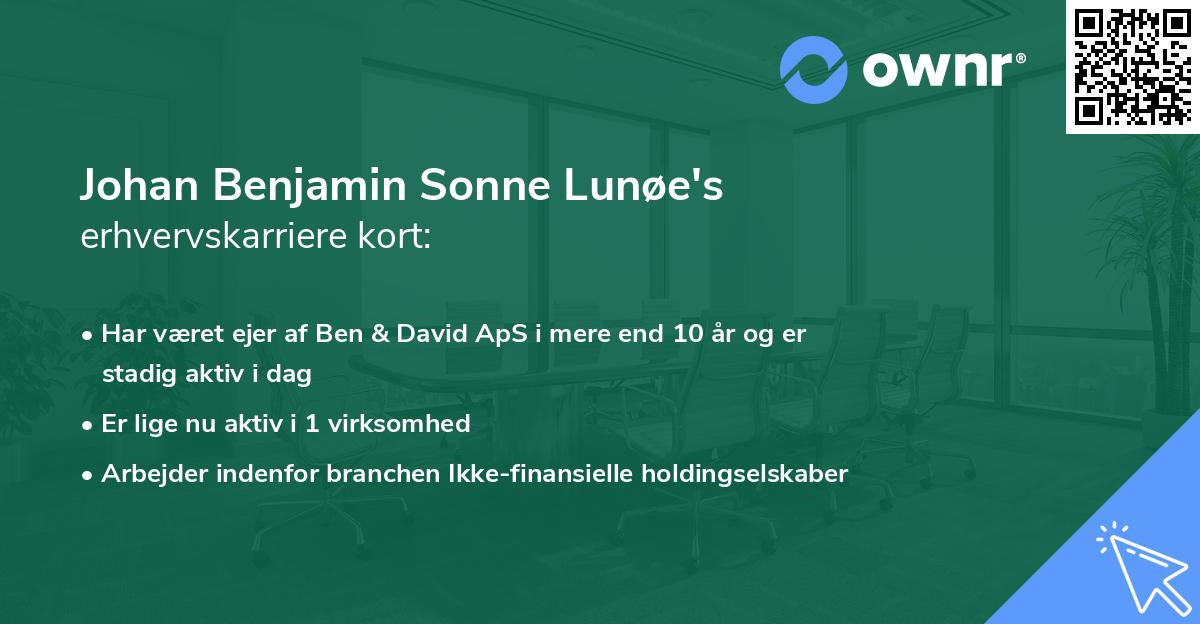Johan Benjamin Sonne Lunøe's erhvervskarriere kort