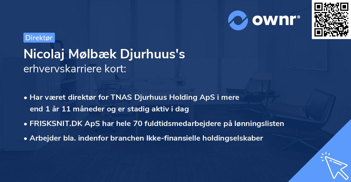 Nicolaj Mølbæk Djurhuus's erhvervskarriere kort