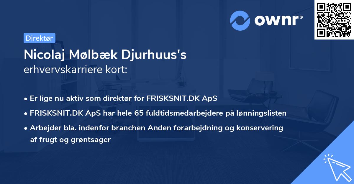 Nicolaj Mølbæk Djurhuus's erhvervskarriere kort