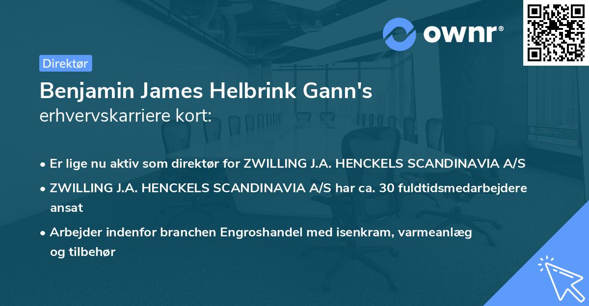 Benjamin James Helbrink Gann's erhvervskarriere kort