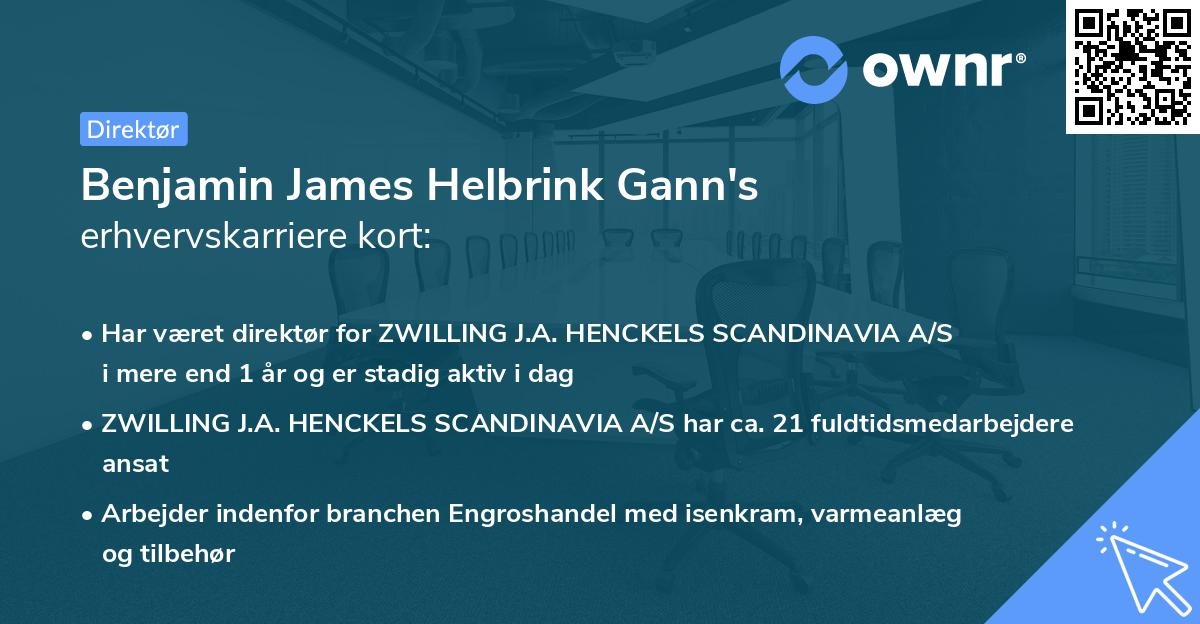 Benjamin James Helbrink Gann's erhvervskarriere kort