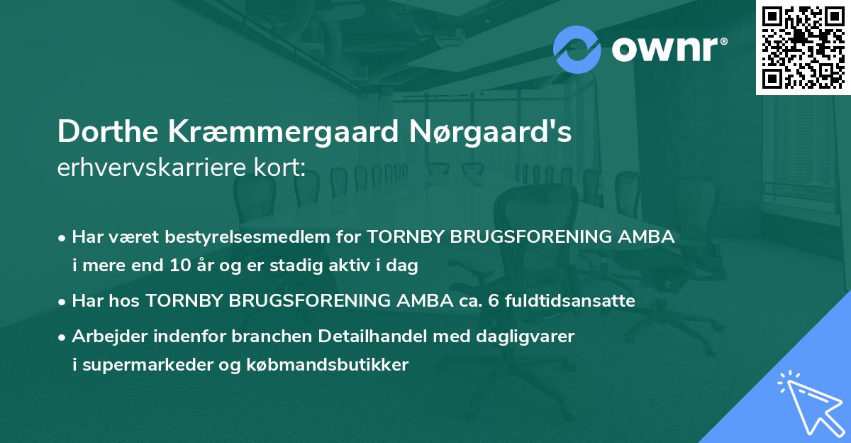 Dorthe Kræmmergaard Nørgaard's erhvervskarriere kort