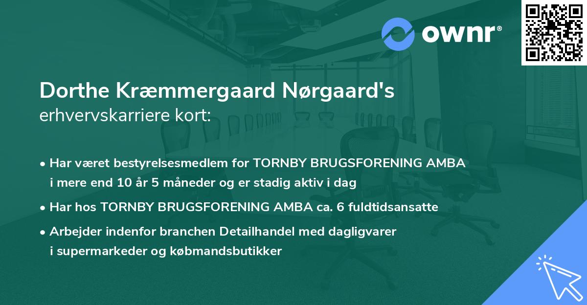 Dorthe Kræmmergaard Nørgaard's erhvervskarriere kort