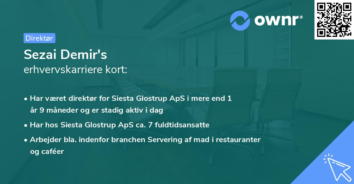 Sezai Demir's erhvervskarriere kort