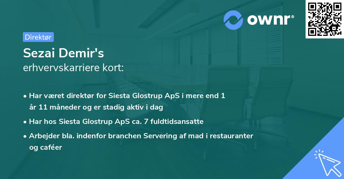 Sezai Demir's erhvervskarriere kort