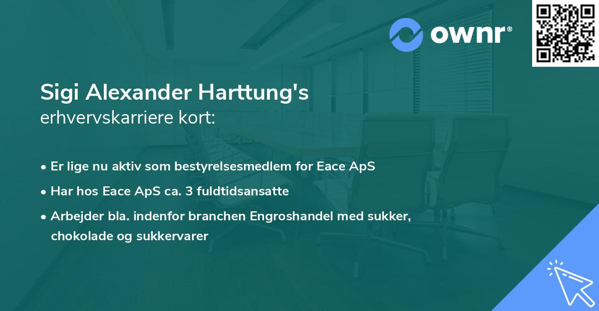 Sigi Alexander Harttung's erhvervskarriere kort