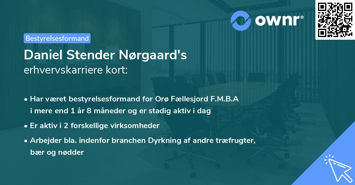 Daniel Stender Nørgaard's erhvervskarriere kort