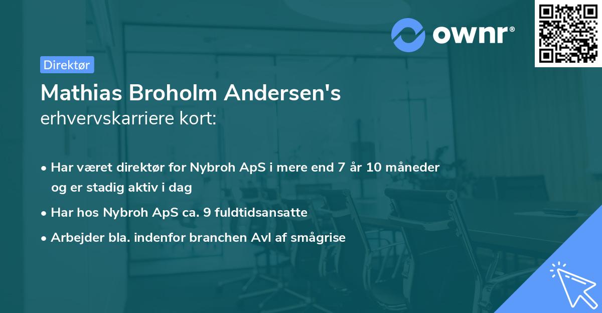 Mathias Broholm Andersen's erhvervskarriere kort